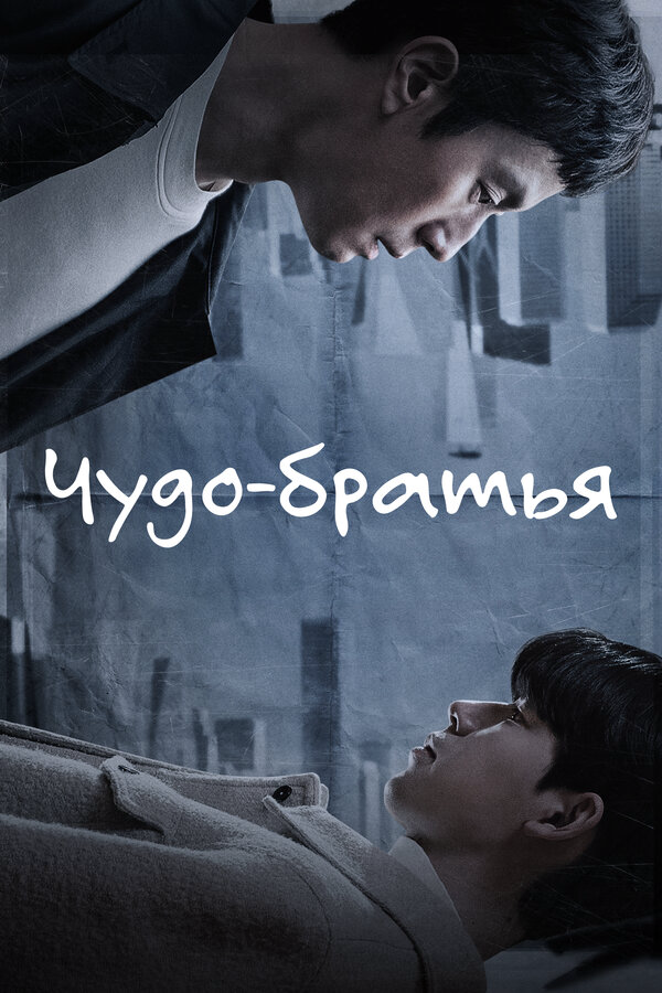 Чудесные братья - постер сериала